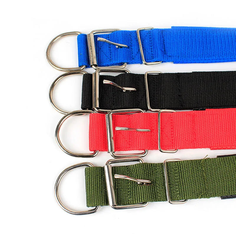 Solid Nylon Dog Collar – Adjustable Everyday Collar for Small, Medium & Large Dogs