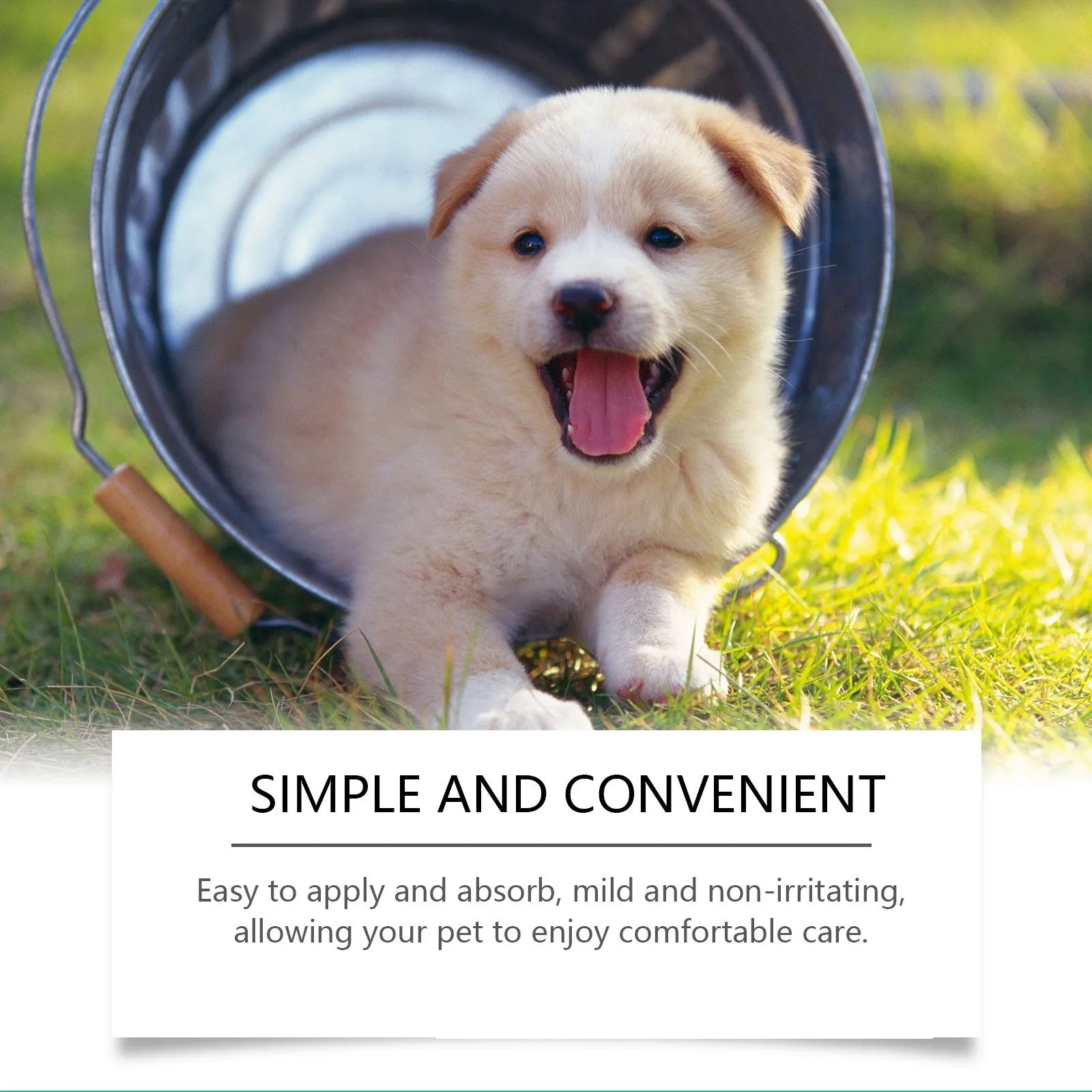 Pet Skin Care Cream – Itchy Skin Relief & Soothing Balm for Dogs & Cats