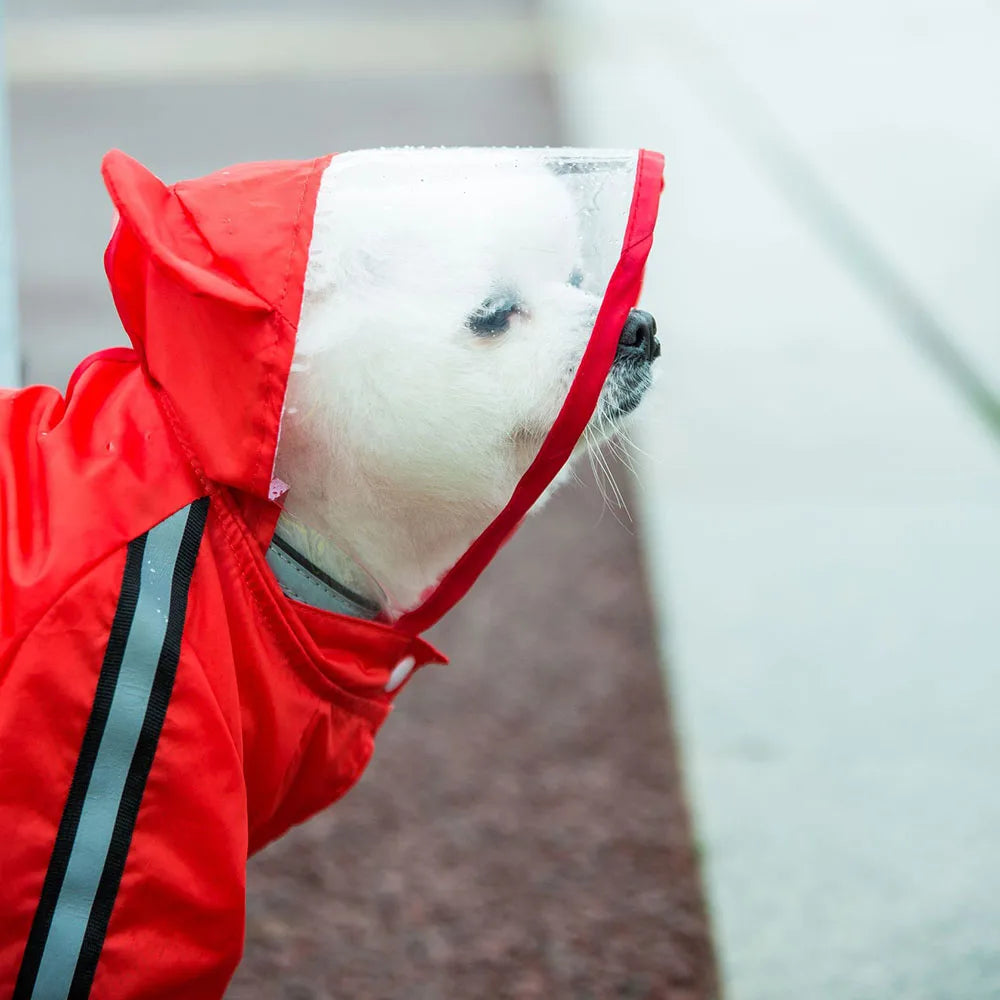 Bear Dog Raincoat – Full Body Waterproof Puppy Jacket with Hood