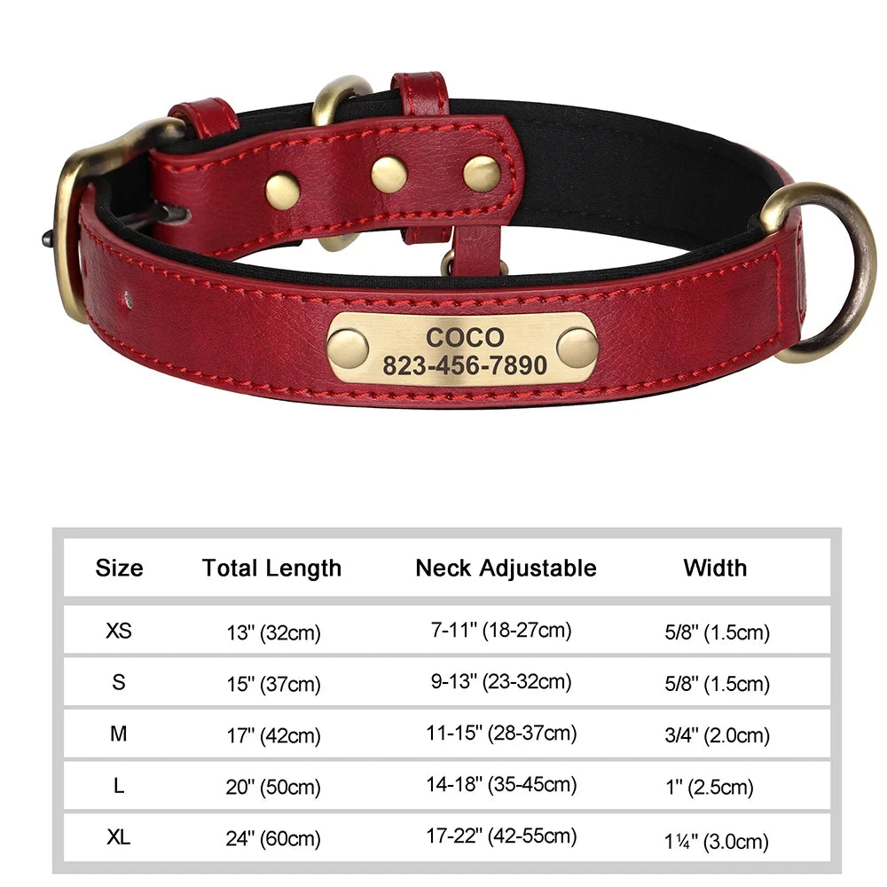 ersonalized Leather Dog Collar with Engraved ID Nameplate – Soft Padded Custom Collar for Small, Medium & Large Dogs