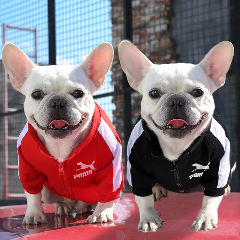 Baseball Dog Jacket – Winter Coat for Small & Medium Dogs
