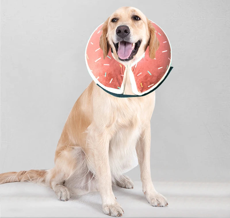 Inflatable Dog & Cat Recovery Collar – Soft Protective Anti-Bite Neck Ring (Elizabethan Style)