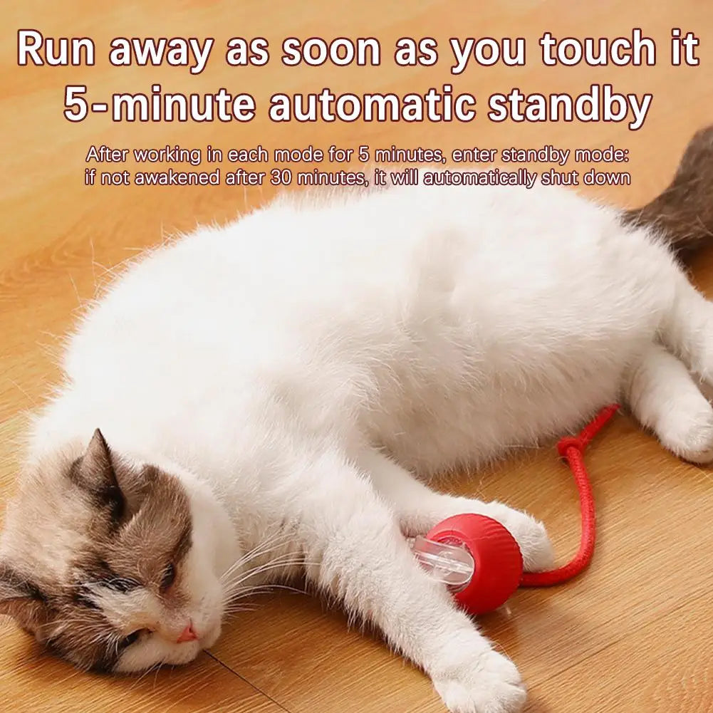 Rechargeable Automatic Cat Ball Toy – Smart Rolling Ball with Faux Tail for Interactive Play