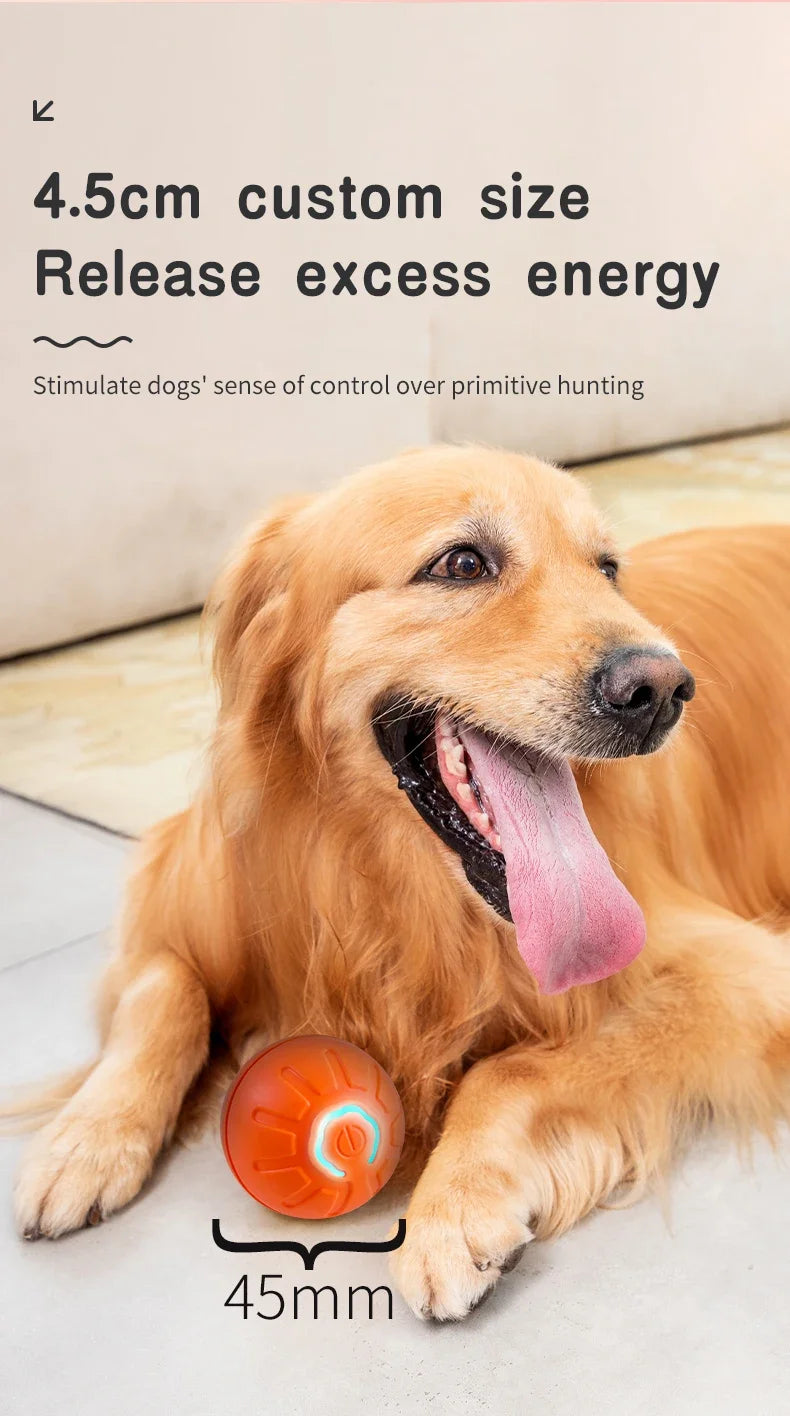Smart Electronic Interactive Pet Toy Ball – USB Rechargeable Moving, Jumping & Bouncing Ball for Dogs & Cats