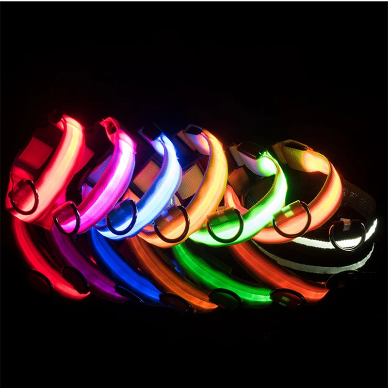LED Luminous Dog Collar – Adjustable USB Rechargeable Glowing Pet Collar, Anti-Lost & Safety Flashing Light