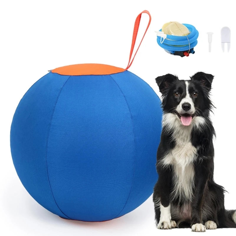 Pet Herding Ball – Interactive Training & Exercise Toy for Dogs