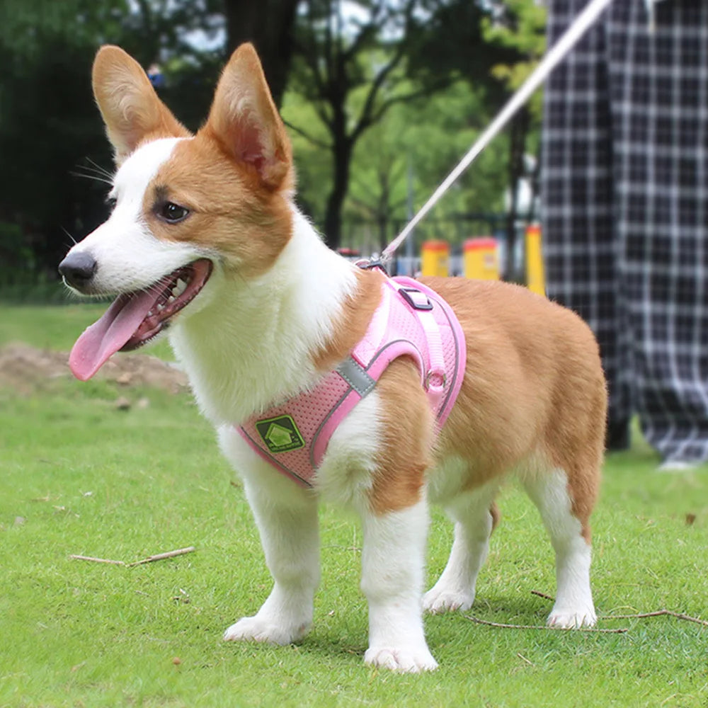 Reflective Pet Harness and Leash Set – No Pull Dog Vest with Breathable Mesh for Dogs & Cats