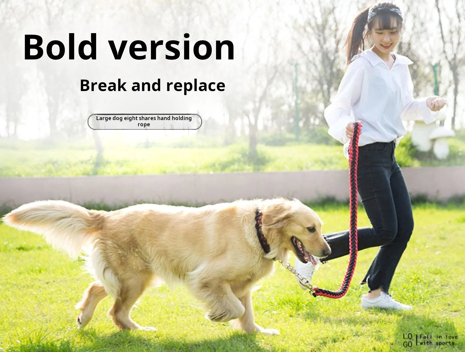 Comfort-Strong 5-Foot Braided Dog Leash – Durable & Comfortable Lead for Training and Daily Walks