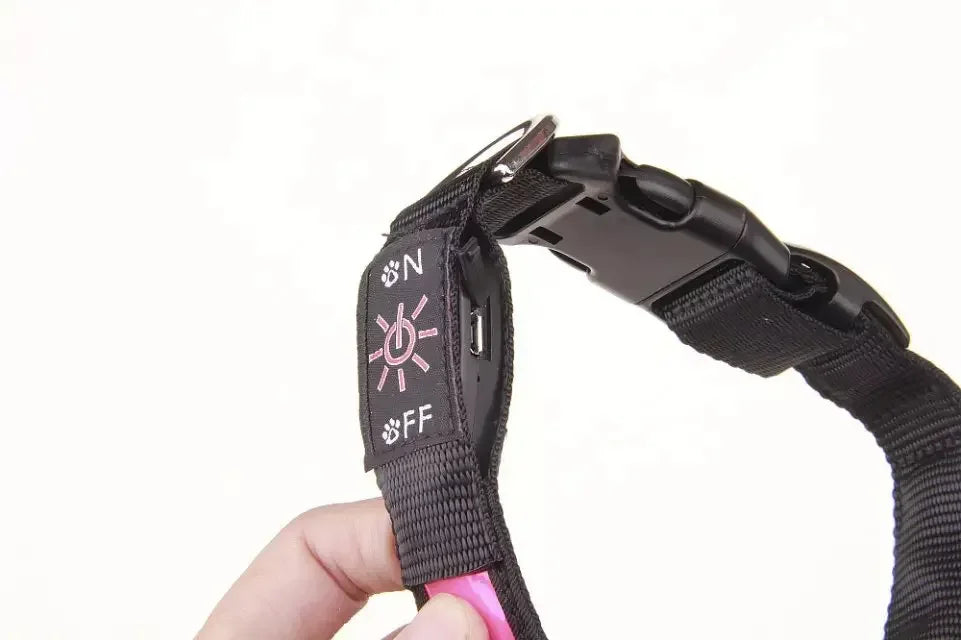 LED Glowing Dog Collar – USB Rechargeable Adjustable Flashing Safety Night Light for Small, Medium & Large Dogs