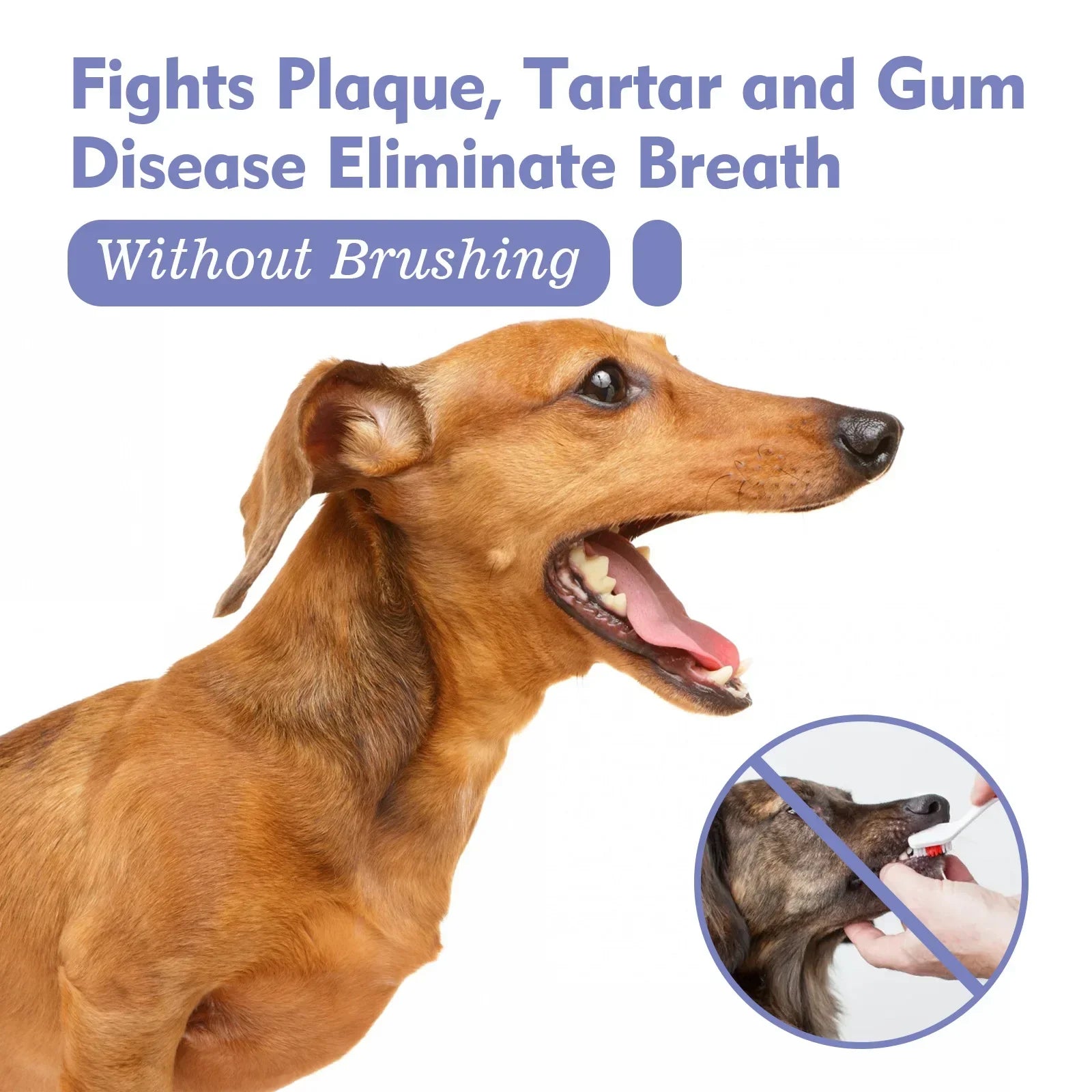 Pet Dental Spray – 30ml Tooth Cleaning & Fresh Breath Spray for Dogs & Cats, Oral Care & Bad Breath Deodorizer
