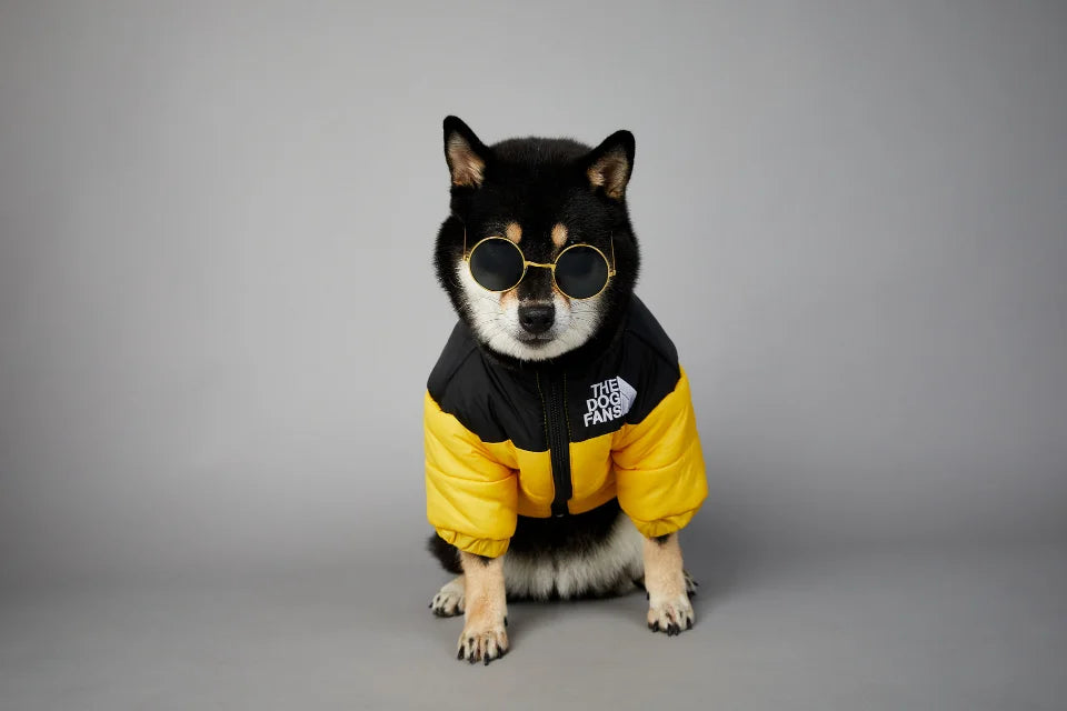 . Dog Fans Winter Pet Down Jacket – Thick Warm Coat for Small & Medium Dogs