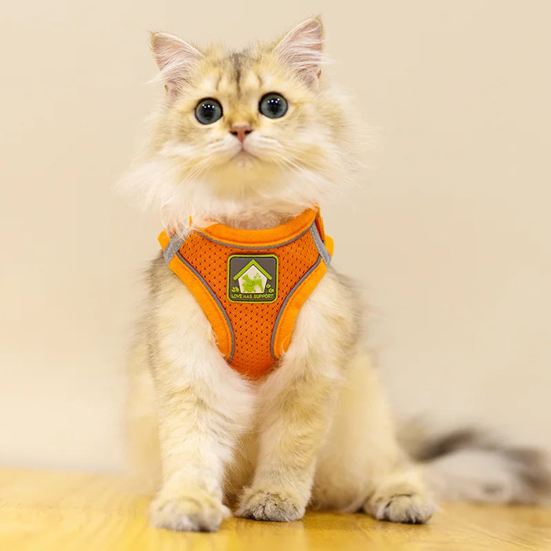 Reflective Pet Harness and Leash Set – No Pull Dog Vest with Breathable Mesh for Dogs & Cats