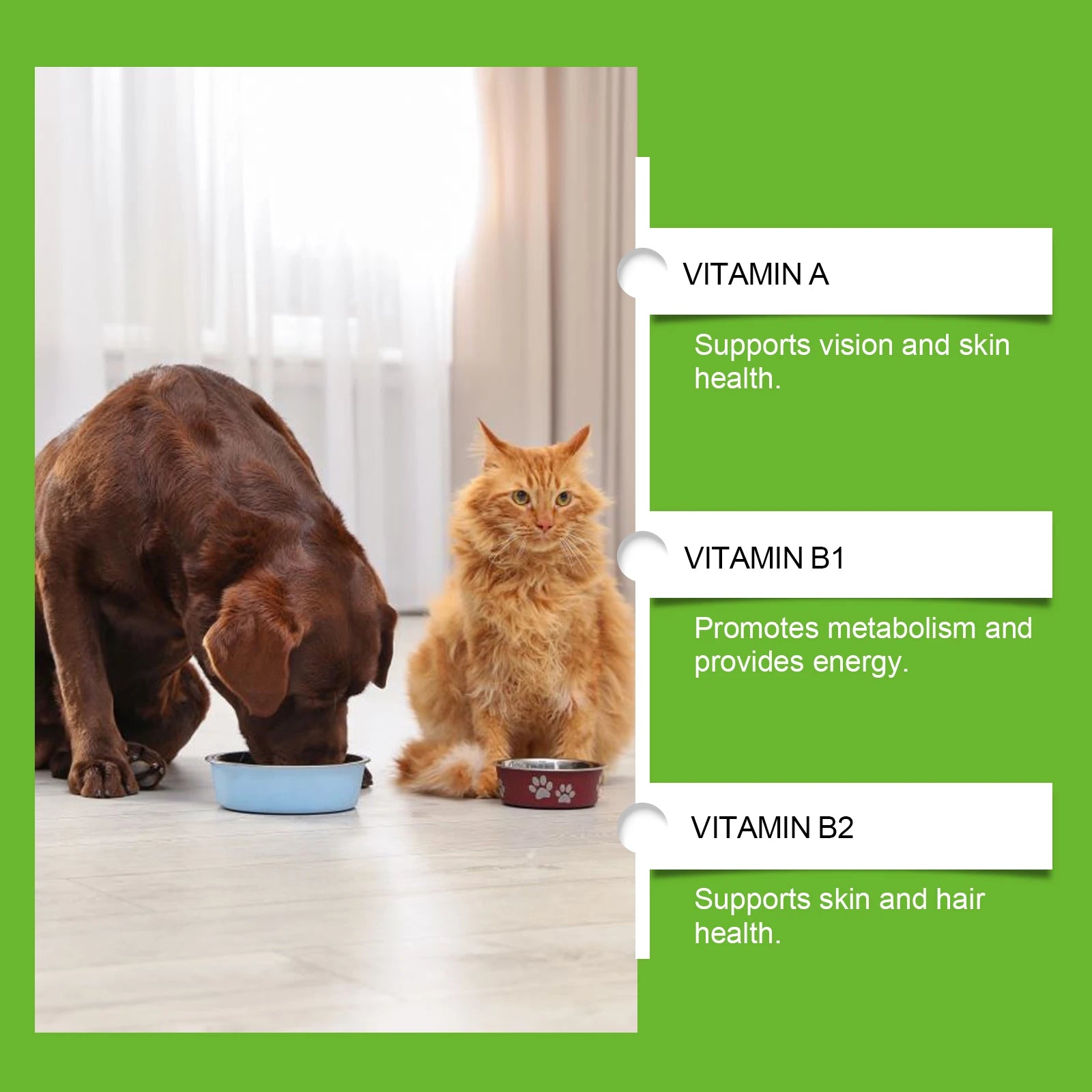 Yegbong Pet Probiotic Tablets – Digestive Health Supplement for Dogs & Cats | Supports Intestinal Balance & Nutrient Absorption