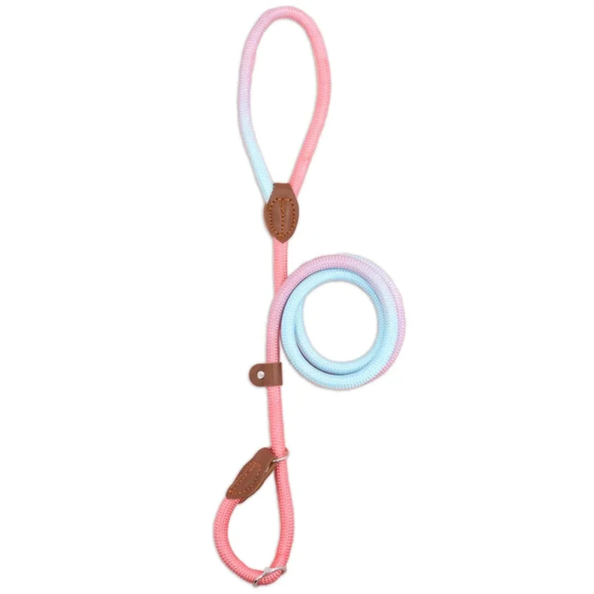 A colorful pet dog leash indoor and outdoor use