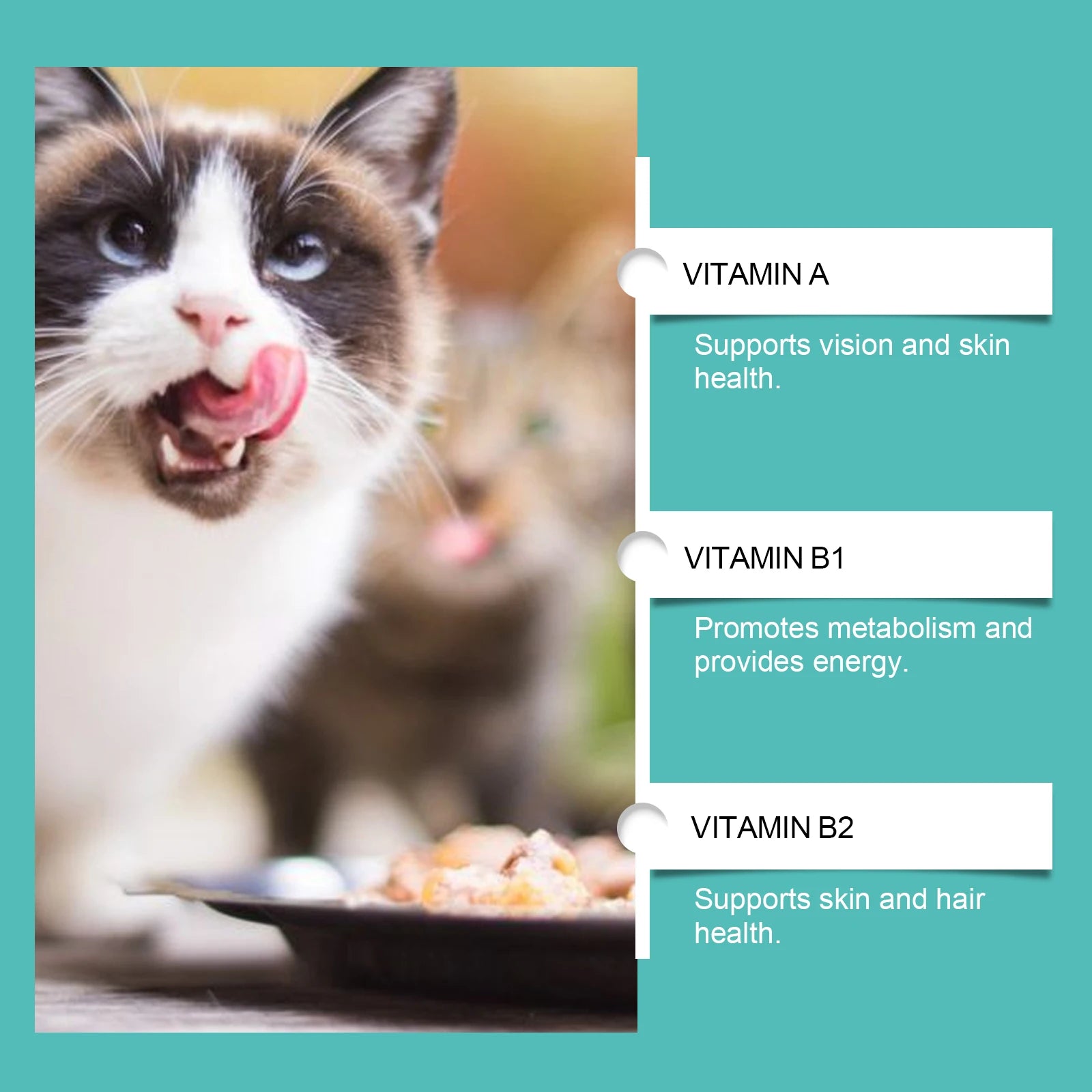 Yegbong Cat Probiotic Tablets – Digestive Health & Nutritional Support Supplement for Cats | Promotes Gut Balance, Absorption & Overall Wellness