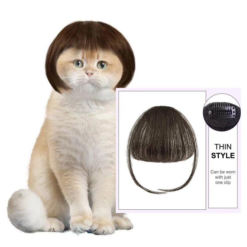 Funny Cat Wig – Lightweight Trimmable Pet Wig Accessory for Cats & Small Pets