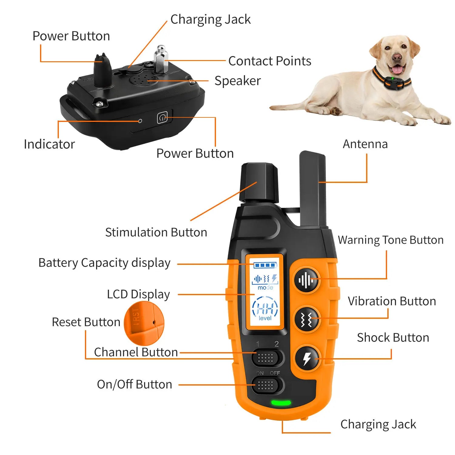 3300Ft Electric Dog Training Collar with Remote – Waterproof Shock & Vibration Behavior Trainer for Dogs 5–120 lbs