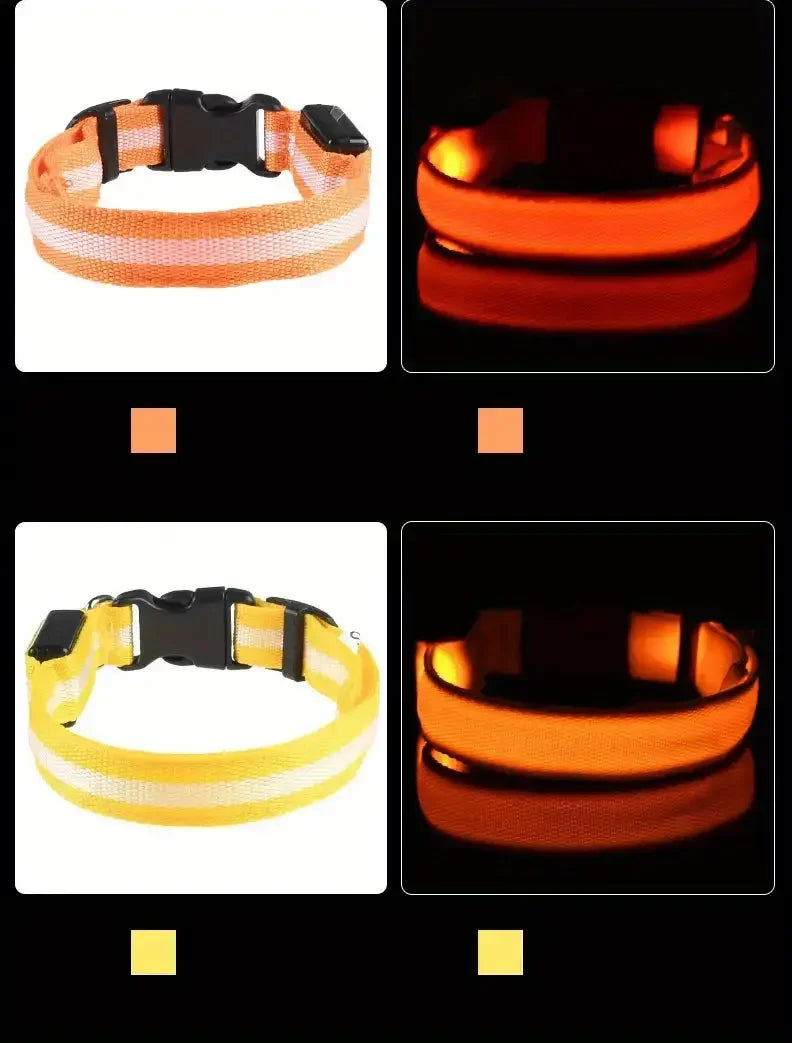 LED Dog Leash & Collar – Nylon Glow-in-the-Dark Safety Set for Night Walks