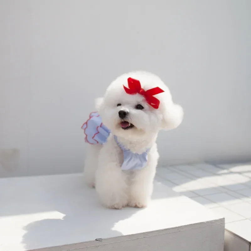Dog Princess Dress – Cute Skirt Apparel for Chihuahuas, Teddy Dogs