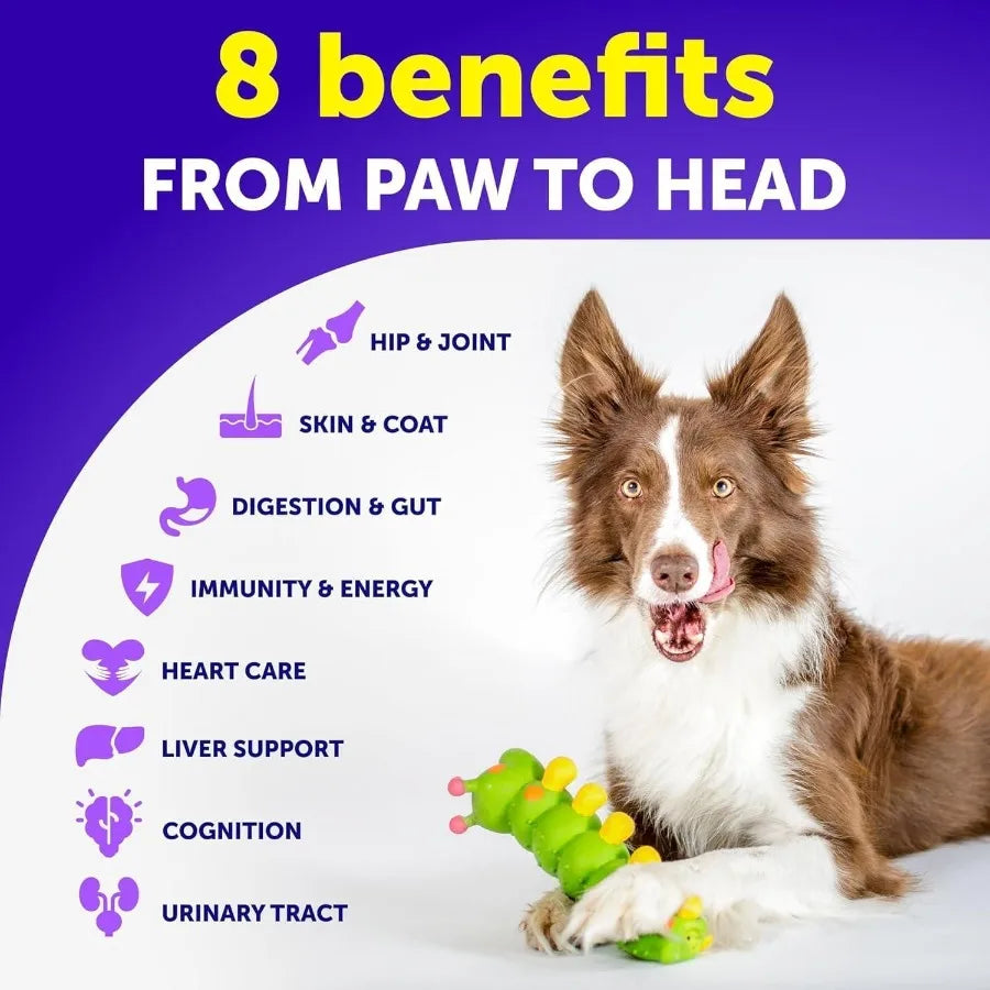 20-in-1 Dog Multivitamin Chewables with Glucosamine – Senior & Puppy Support