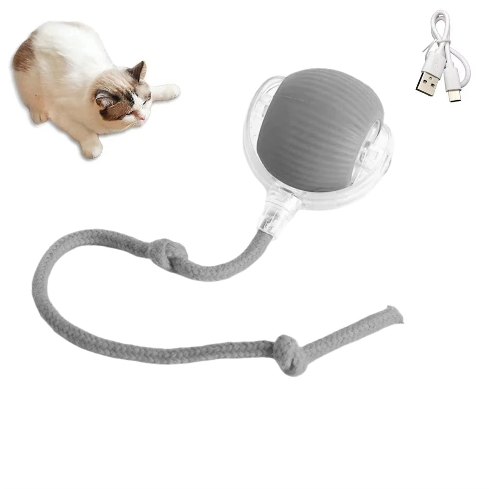 Rechargeable Automatic Cat Ball Toy – Smart Rolling Ball with Faux Tail for Interactive Play