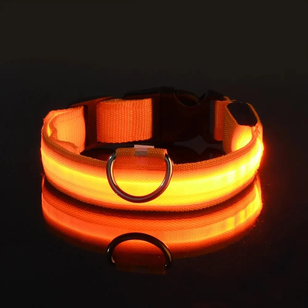 LED Dog Leash & Collar – Nylon Glow-in-the-Dark Safety Set for Night Walks