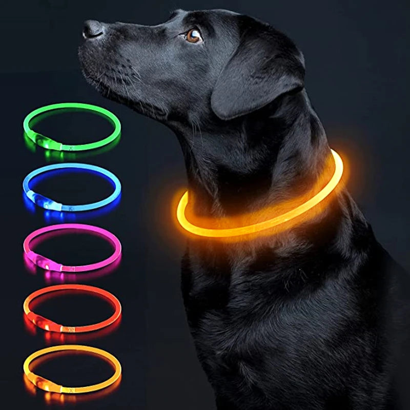 USB Charging LED Luminous Dog Collar – Adjustable Flashing Safety Light Necklace for Dogs & Cats