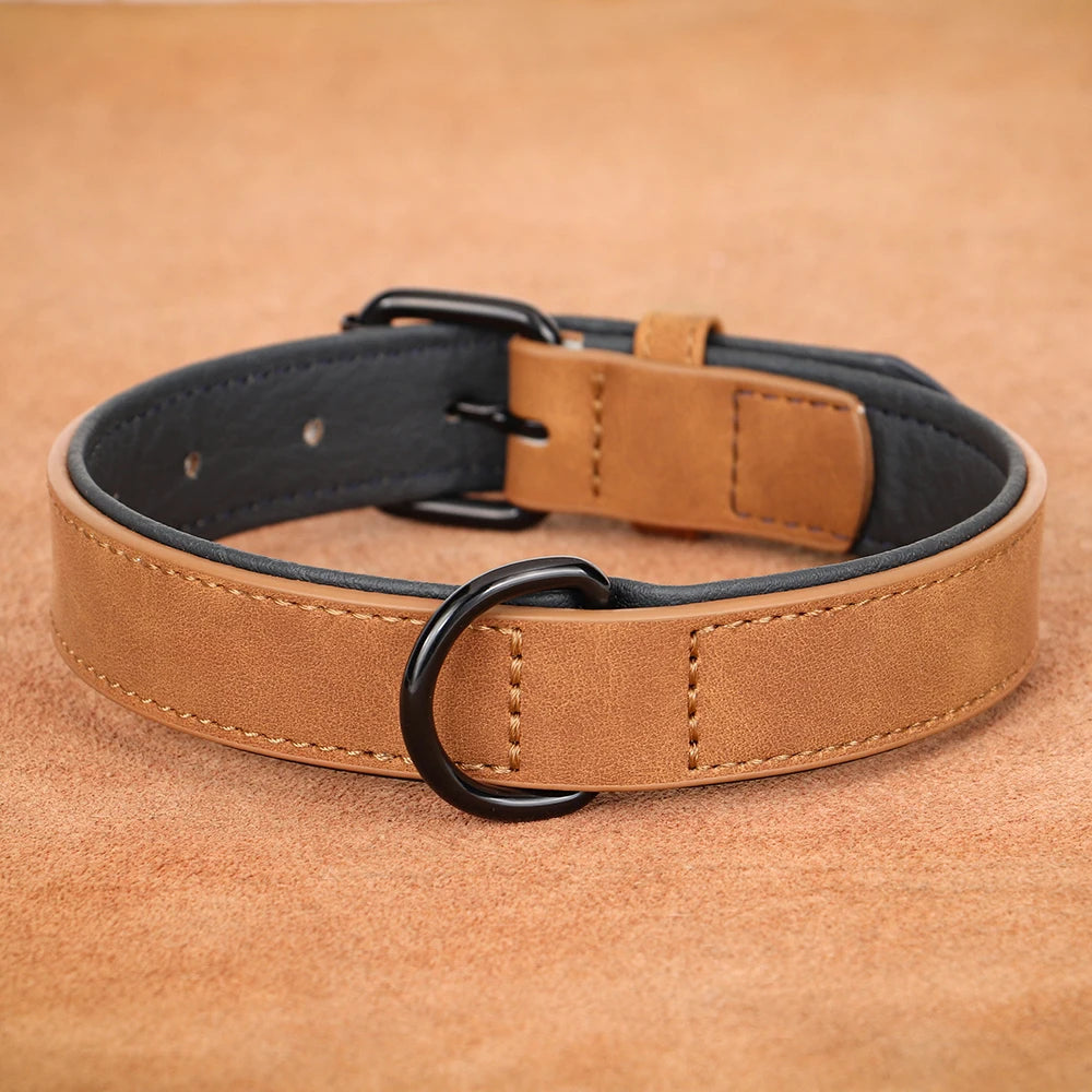 Large Dog Collar – Soft Padded Real Leather Collar for Big Dogs like Rottweiler, Labrador & Pitbull