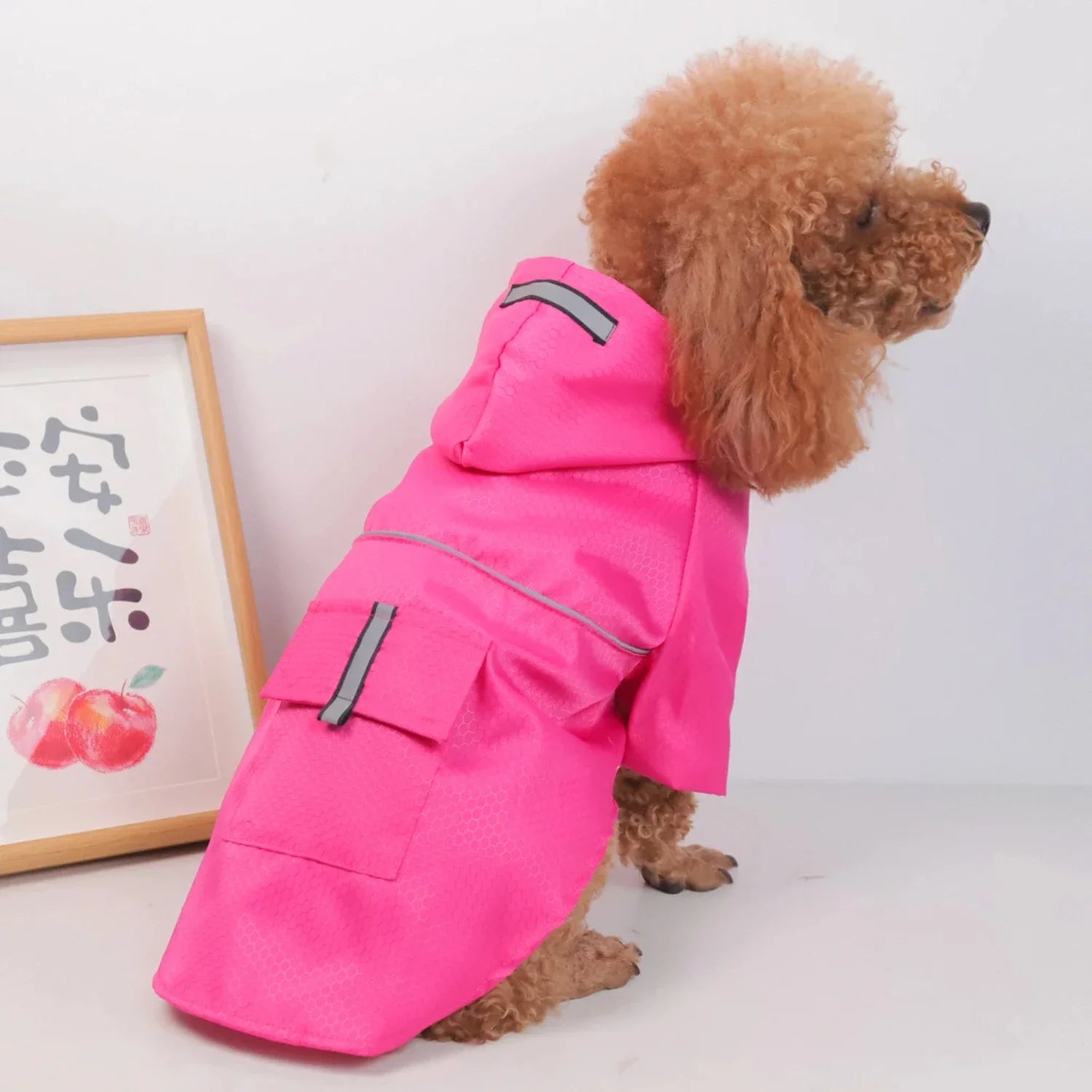 Small Dog Raincoat – Breathable Mesh Waterproof Jacket with Hood & Pocket