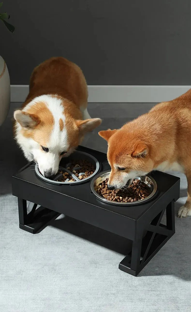 Double Elevated Dog Bowl Stand – 3 Heights Adjustable Slow Feeder for Medium & Large Dogs