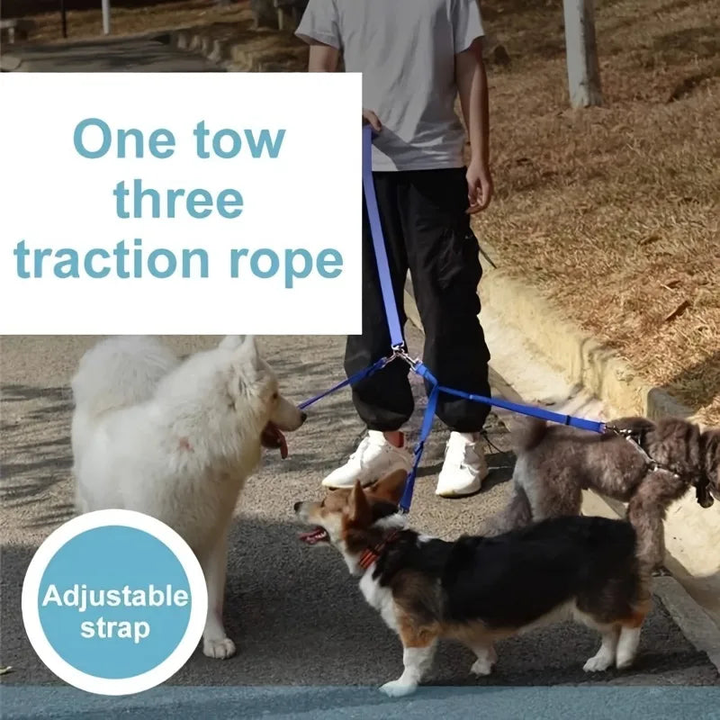 3-in-1 Durable Nylon Dog Leash – Outdoor Walking, Car Travel & Hiking Leash with Padded Handle