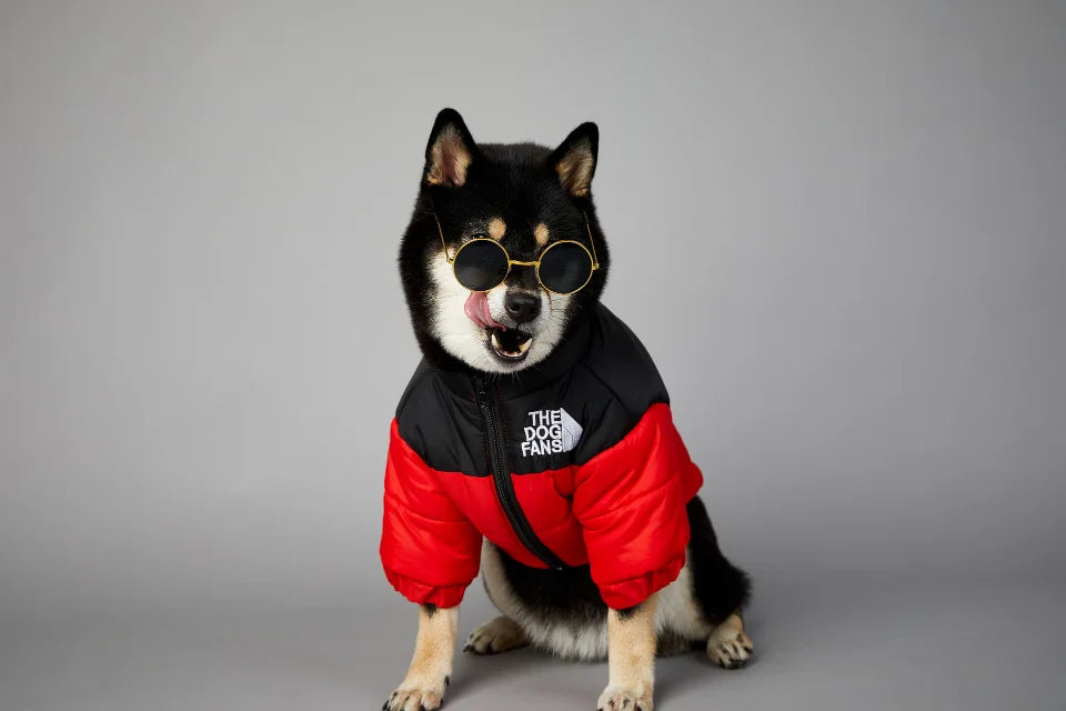 . Dog Fans Winter Pet Down Jacket – Thick Warm Coat for Small & Medium Dogs