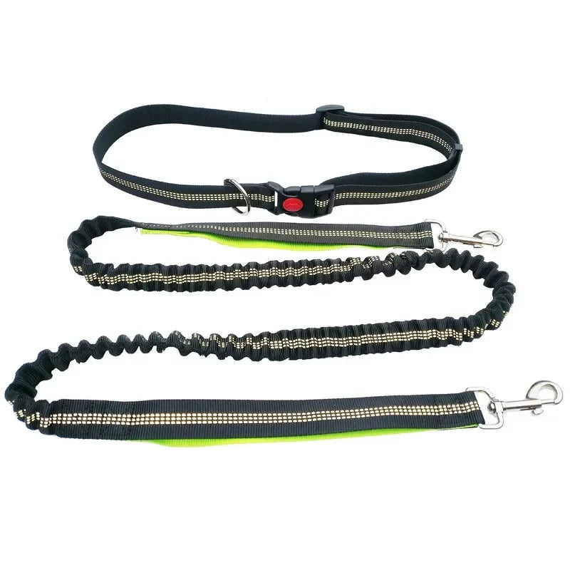 Hands-Free Dog Leash with Waist Belt – Adjustable for Walking, Running & Jogging