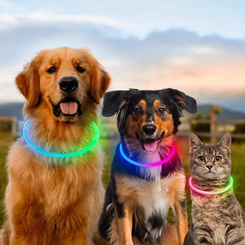 USB Charging LED Luminous Dog Collar – Adjustable Flashing Safety Light Necklace for Dogs & Cats