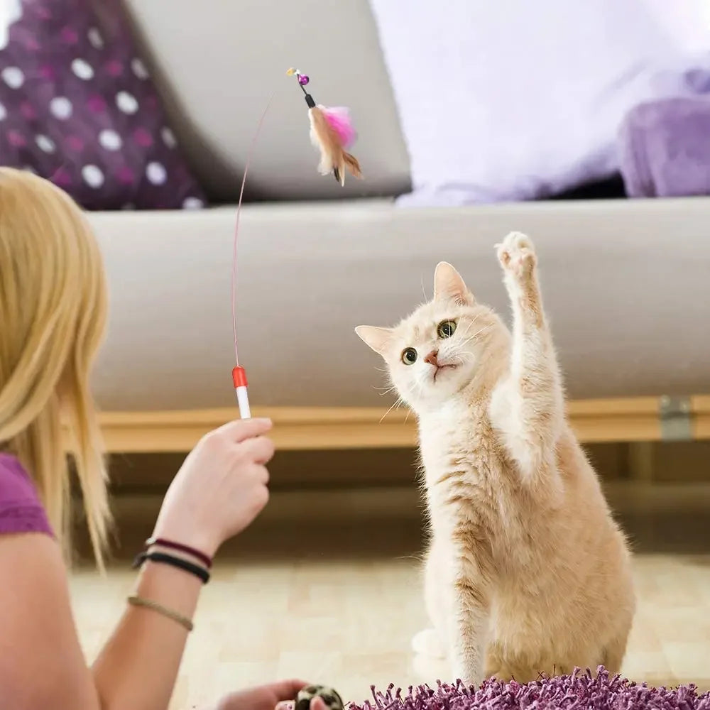 Kitten Toys Variety Pack – Cat Toy Set with Funny Wand, Sisal Mouse, Bell Balls & Interactive Cat Supplies