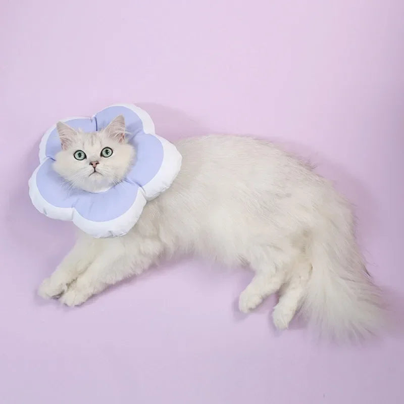 1Pc Soft Cotton Cat Recovery Cone – Adjustable E-Collar for Cats & Small Dogs