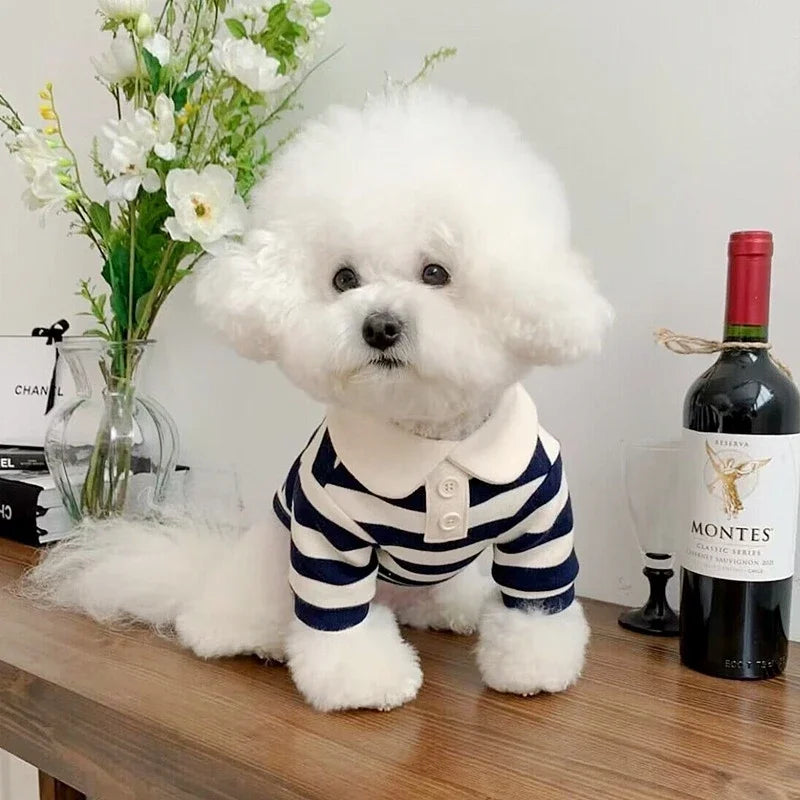 ๐ถ Summer Polo Shirt for Dogs โ Lightweight, Stylish Cooling Shirt for Small & Medium Breeds