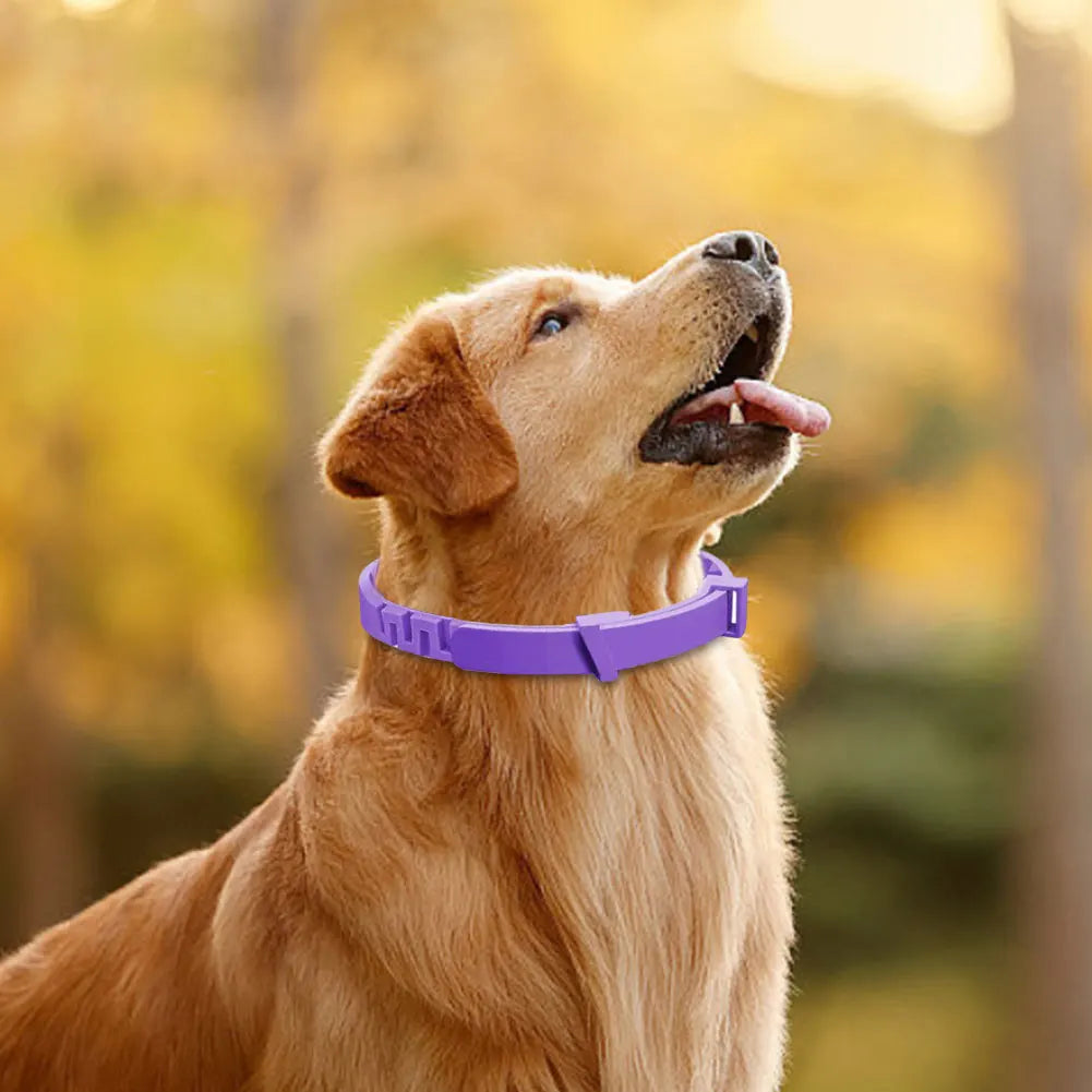 3/4 Pack Pet Calming Collars – Natural Anxiety Relief for Cats & Dogs