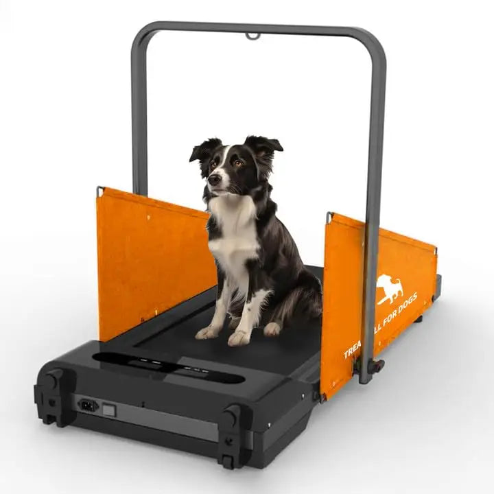 2.5HP Foldable Dog Treadmill – Indoor Running Machine for Small & Medium Dogs (Up to 220 lbs)