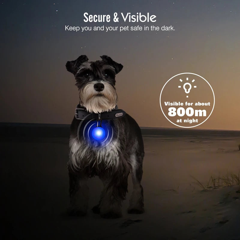 LED Luminous Dog Collar – Adjustable USB Rechargeable Glowing Pet Collar, Anti-Lost & Safety Flashing Light