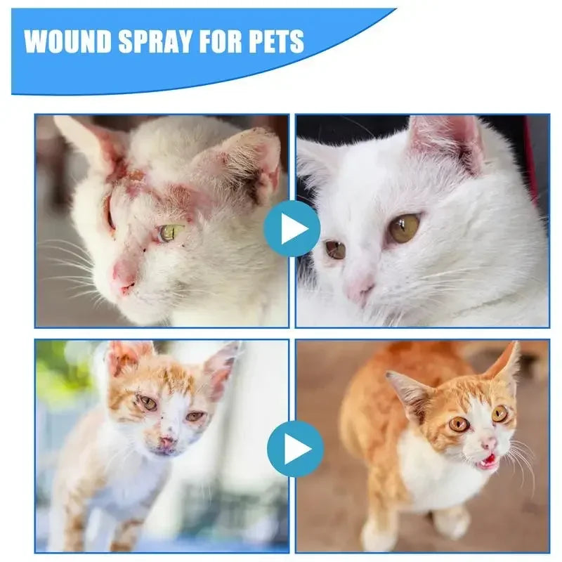 30ml Anti-Itch Spray for Dogs & Cats – Soothing Skin Relief for Itchy & Sensitive Skin