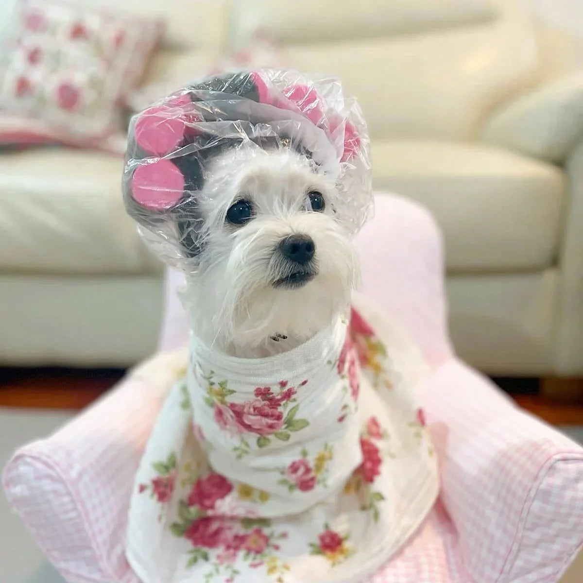Funny Curly Pet Hat – Adjustable Costume for Cats & Dogs