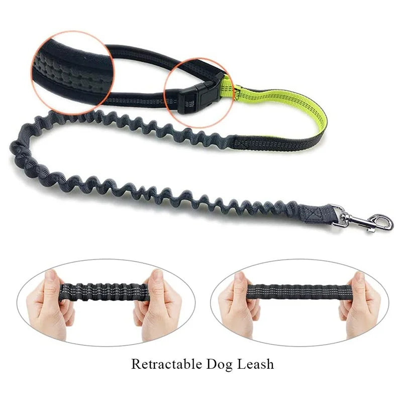 Hands-Free Dog Leash with Running Belt – Adjustable, Reflective, Multi-Functional Jogging Leash Set for Active Dog Owners