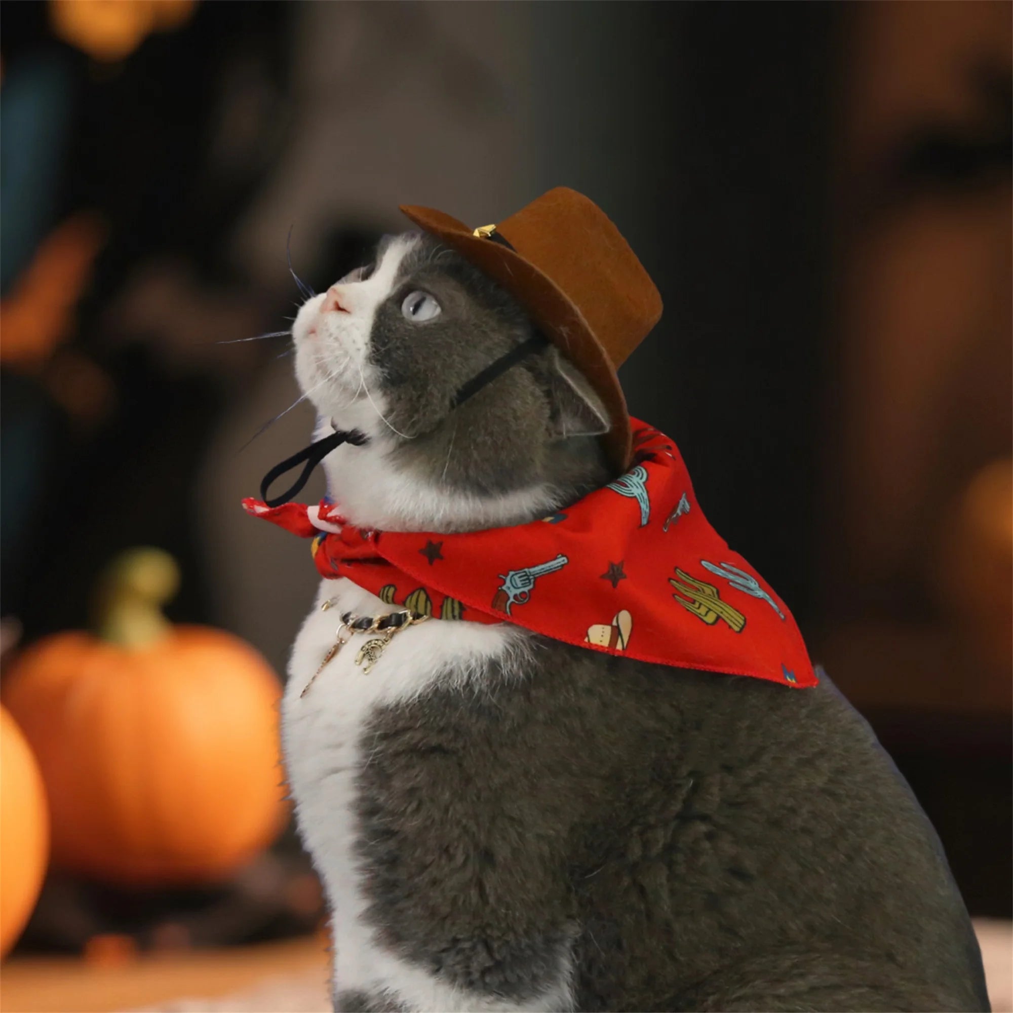 Dog Cowboy Costume – Wild West Hat & Paisley Bandana Set for Small Pets Halloween