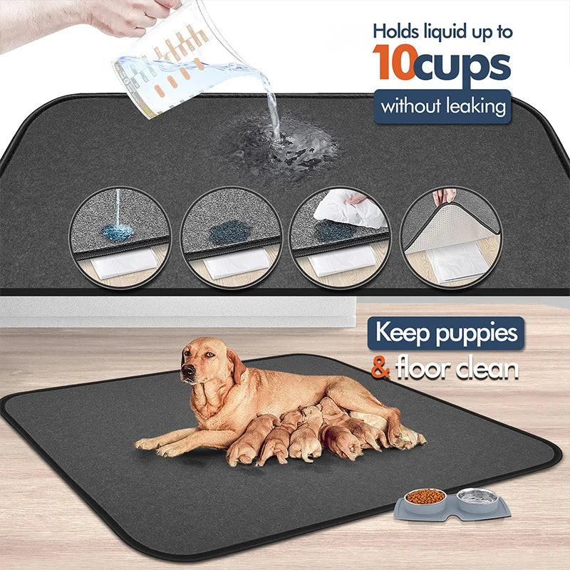 Waterproof Reusable Dog Pee Pad – Extra Large Absorbent Pet Bed Mat with Cute Dog Paw Prints