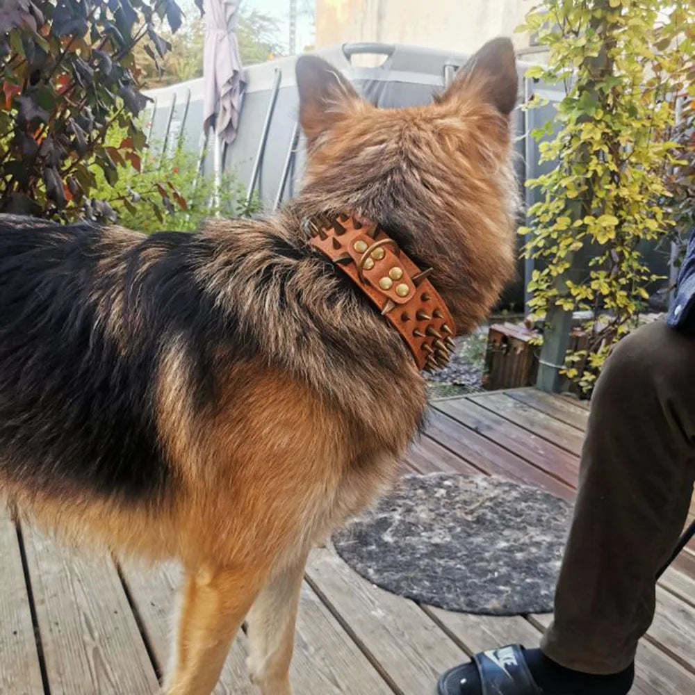 Heavy-Duty Spiked Leather Dog Collar – Wide, Comfortable Protection Collar for Extra Large Dogs