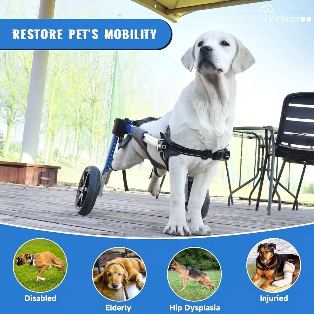 Adjustable Dog Wheelchair for Back Legs – Large Size with All-Terrain Wheels