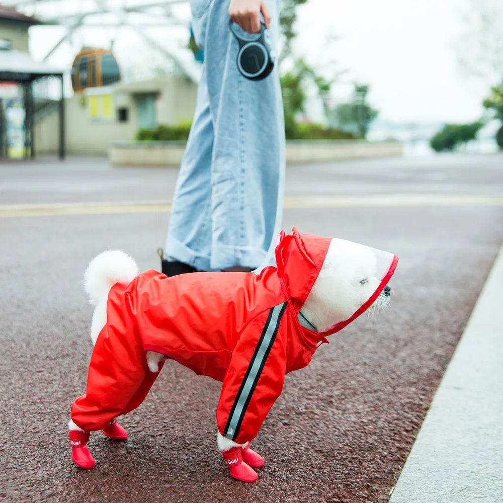 Bear Dog Raincoat – Full Body Waterproof Puppy Jacket with Hood
