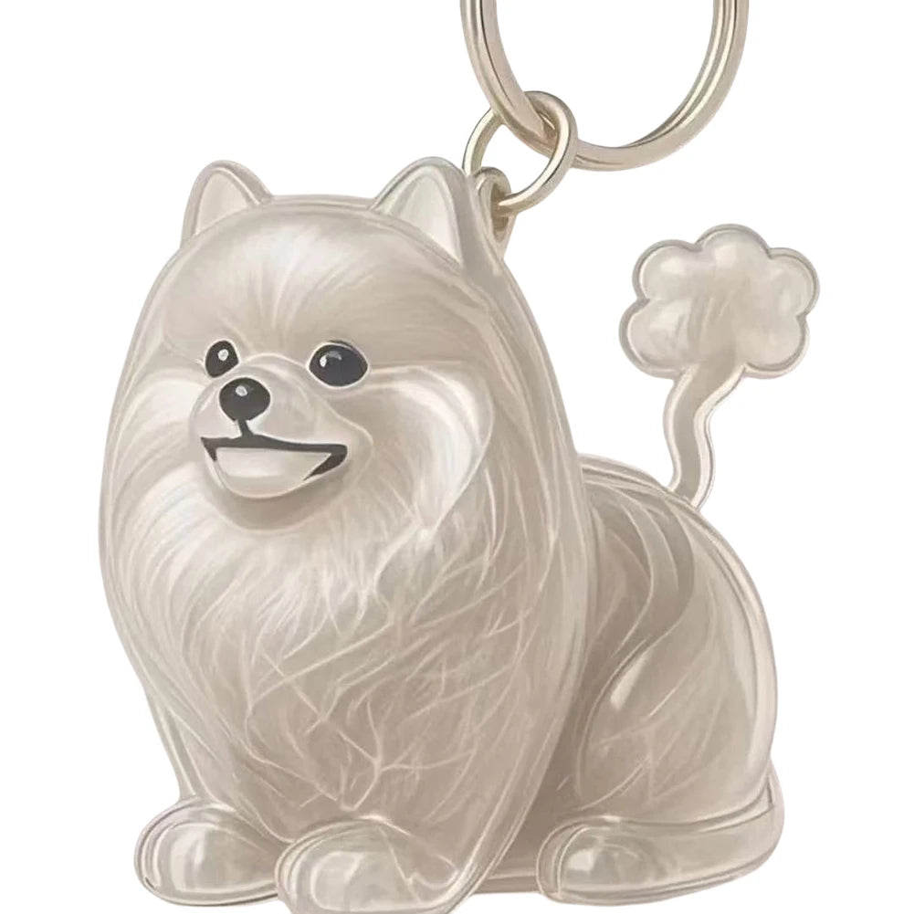 Dog Fur Keepsake Capsule Keychain – Transparent Memorial Charm Pendant for Pet Hair Storage & Remembrance Gifts
