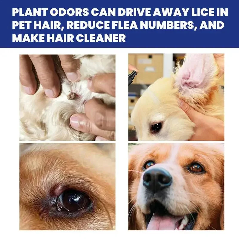 100ml Anti-Flea & Tick Drops – Safe Insecticide Treatment for Dogs & Cats